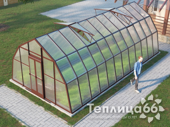 Теплица Рада Каспий из поликарбоната, 4х8 метров, коричневая